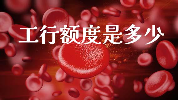 工行额度是多少_https://wap.lcjysmgs.com_原油期货_第1张