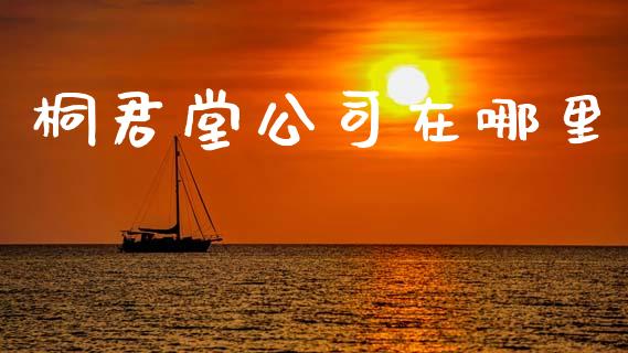 桐君堂公司在哪里_https://wap.lcjysmgs.com_原油期货_第1张