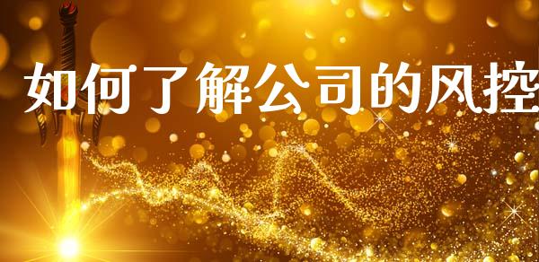如何了解公司的风控_https://wap.lcjysmgs.com_元宇宙_第1张