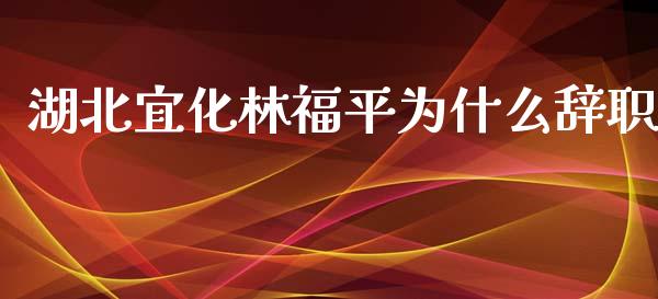 湖北宜化林福平为什么辞职_https://wap.lcjysmgs.com_原油期货_第1张