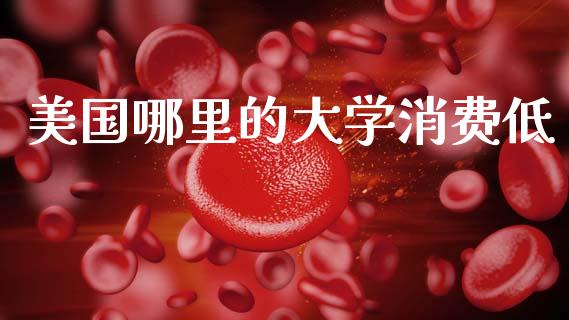 美国哪里的大学消费低_https://wap.lcjysmgs.com_原油期货_第1张