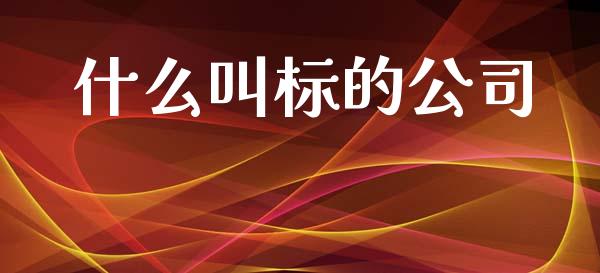 什么叫标的公司_https://wap.lcjysmgs.com_金融交易_第1张