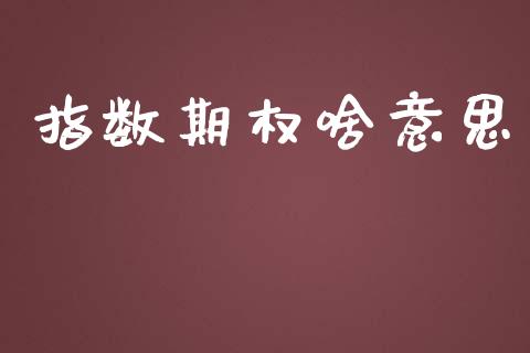 指数期权啥意思_https://wap.lcjysmgs.com_债券基金_第1张