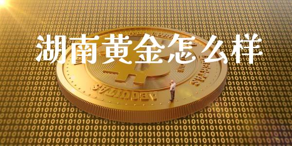 湖南黄金怎么样_https://wap.lcjysmgs.com_原油期货_第1张