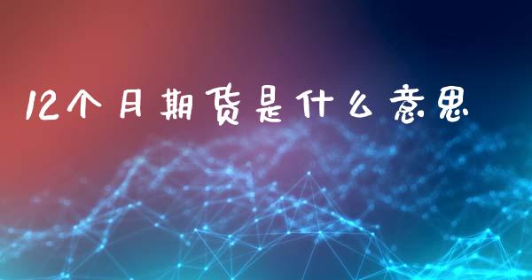 12个月期货是什么意思_https://wap.lcjysmgs.com_债券基金_第1张