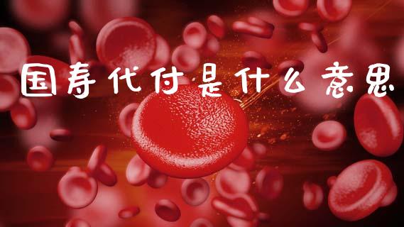 国寿代付是什么意思_https://wap.lcjysmgs.com_金融交易_第1张
