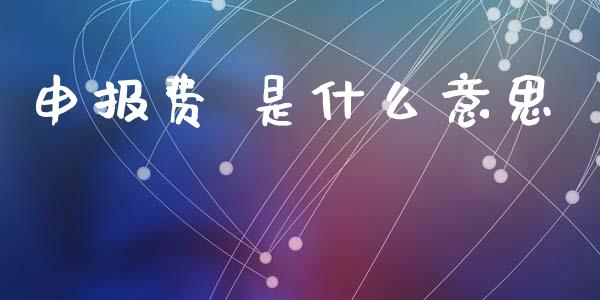 申报费 是什么意思_https://wap.lcjysmgs.com_金融交易_第1张