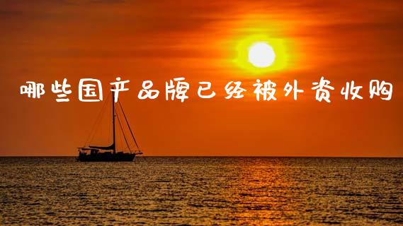 哪些国产品牌已经被外资收购_https://wap.lcjysmgs.com_债券基金_第1张