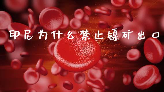 印尼为什么禁止镍矿出口_https://wap.lcjysmgs.com_元宇宙_第1张