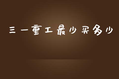 三一重工最少买多少_https://wap.lcjysmgs.com_金融交易_第1张