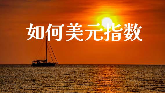 如何美元指数_https://wap.lcjysmgs.com_元宇宙_第1张