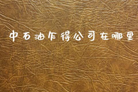 中石油乍得公司在哪里_https://wap.lcjysmgs.com_金融交易_第1张