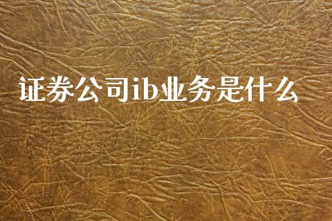 证券公司ib业务是什么_https://wap.lcjysmgs.com_原油期货_第1张