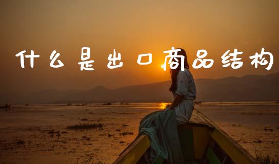 什么是出口商品结构_https://wap.lcjysmgs.com_债券基金_第1张