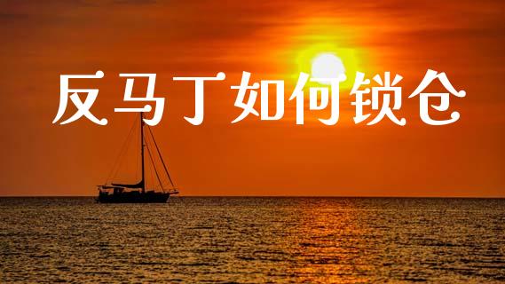 反马丁如何锁仓_https://wap.lcjysmgs.com_原油期货_第1张