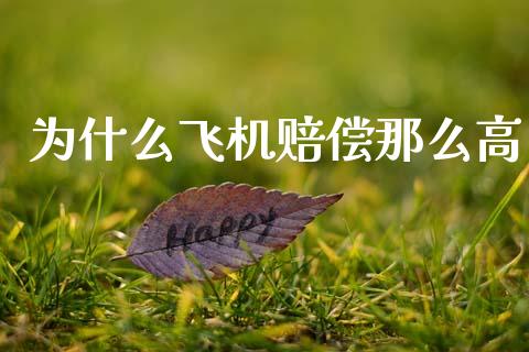 为什么飞机赔偿那么高_https://wap.lcjysmgs.com_原油期货_第1张