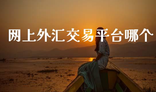 网上外汇交易平台哪个_https://wap.lcjysmgs.com_元宇宙_第1张