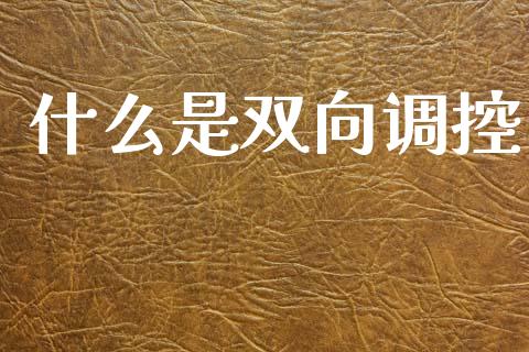 什么是双向调控_https://wap.lcjysmgs.com_金融交易_第1张