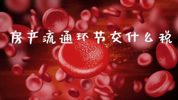 房产流通环节交什么税_https://wap.lcjysmgs.com_债券基金_第1张
