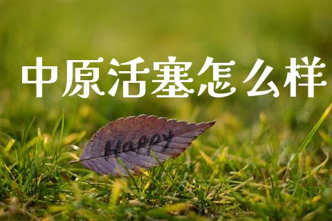 中原活塞怎么样_https://wap.lcjysmgs.com_元宇宙_第1张