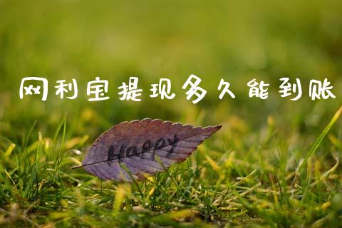 网利宝提现多久能到账_https://wap.lcjysmgs.com_金融交易_第1张