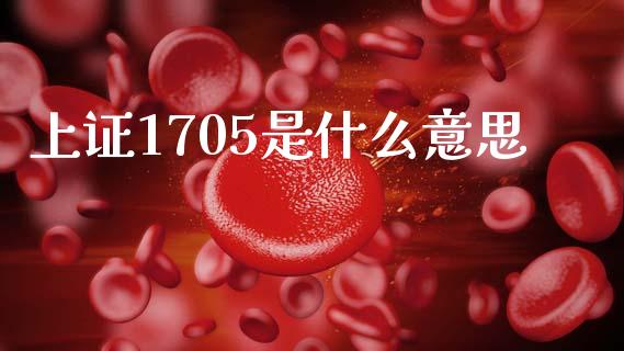 上证1705是什么意思_https://wap.lcjysmgs.com_债券基金_第1张