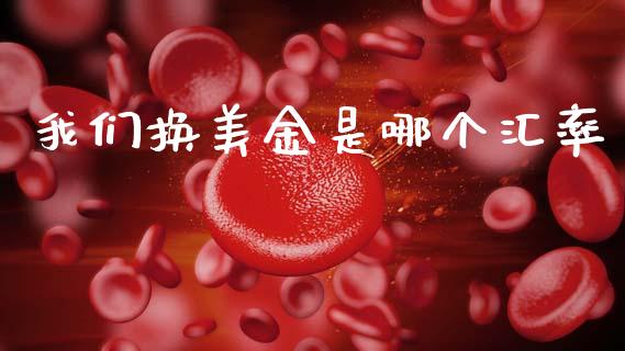 我们换美金是哪个汇率_https://wap.lcjysmgs.com_元宇宙_第1张