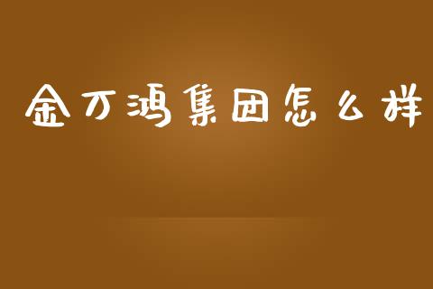金万鸿集团怎么样_https://wap.lcjysmgs.com_原油期货_第1张