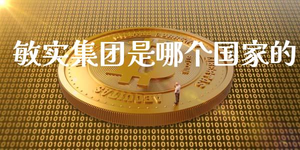 敏实集团是哪个国家的_https://wap.lcjysmgs.com_原油期货_第1张