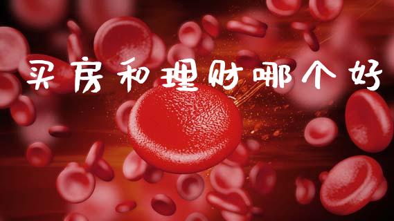 买房和理财哪个好_https://wap.lcjysmgs.com_元宇宙_第1张