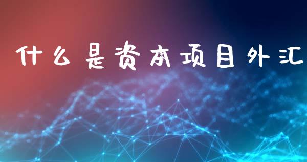什么是资本项目外汇_https://wap.lcjysmgs.com_债券基金_第1张