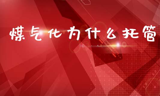 煤气化为什么托管_https://wap.lcjysmgs.com_金融交易_第1张