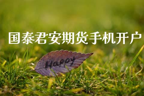 国泰君安期货手机开户_https://wap.lcjysmgs.com_元宇宙_第1张