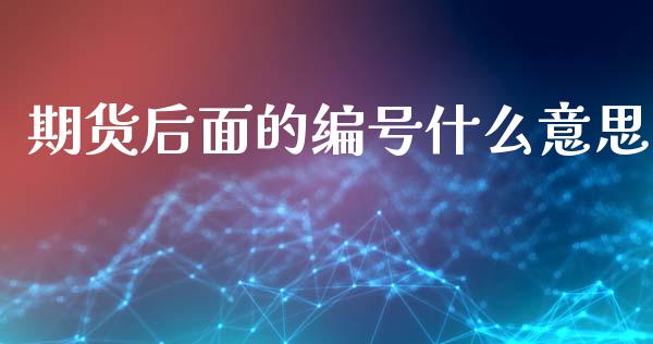 期货后面的编号什么意思_https://wap.lcjysmgs.com_原油期货_第1张
