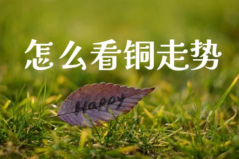 怎么看铜走势_https://wap.lcjysmgs.com_原油期货_第1张