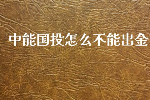 中能国投怎么不能出金_https://wap.lcjysmgs.com_原油期货_第1张