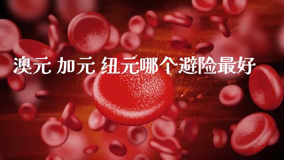 澳元 加元 纽元哪个避险最好_https://wap.lcjysmgs.com_债券基金_第1张