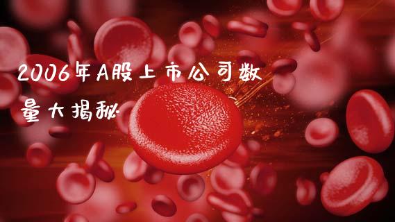 2006年A股上市公司数量大揭秘_https://wap.lcjysmgs.com_金融交易_第1张
