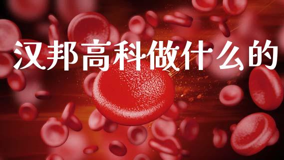 汉邦高科做什么的_https://wap.lcjysmgs.com_元宇宙_第1张
