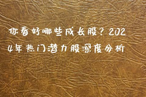 你看好哪些成长股？2024年热门潜力股深度分析_https://wap.lcjysmgs.com_金融交易_第1张