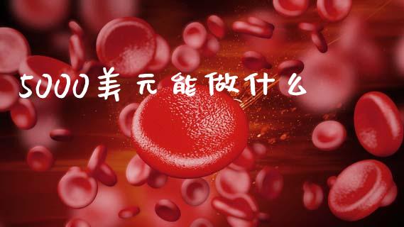 5000美元能做什么_https://wap.lcjysmgs.com_债券基金_第1张