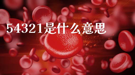 54321是什么意思_https://wap.lcjysmgs.com_债券基金_第1张