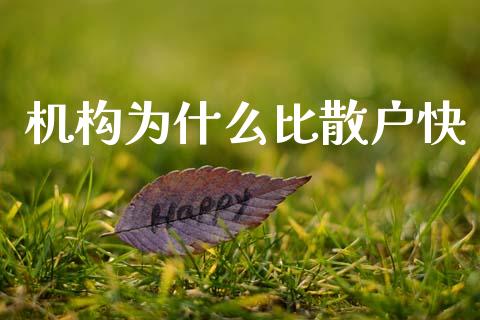 机构为什么比散户快_https://wap.lcjysmgs.com_金融交易_第1张