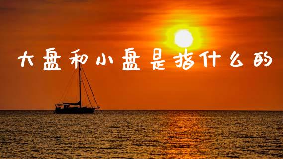 大盘和小盘是指什么的_https://wap.lcjysmgs.com_债券基金_第1张
