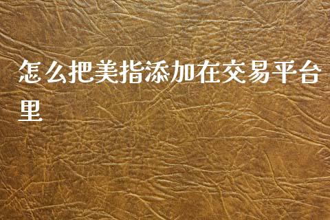怎么把美指添加在交易平台里_https://wap.lcjysmgs.com_金融交易_第1张
