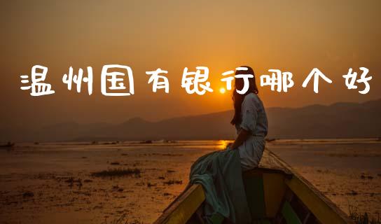 温州国有银行哪个好_https://wap.lcjysmgs.com_原油期货_第1张