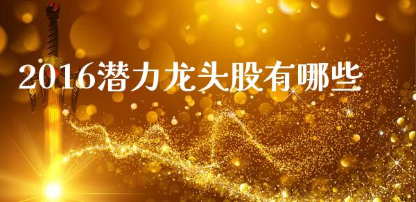 2016潜力龙头股有哪些_https://wap.lcjysmgs.com_元宇宙_第1张
