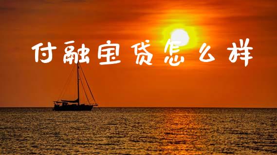 付融宝贷怎么样_https://wap.lcjysmgs.com_债券基金_第1张