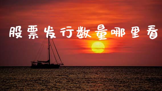 股票发行数量哪里看_https://wap.lcjysmgs.com_金融交易_第1张