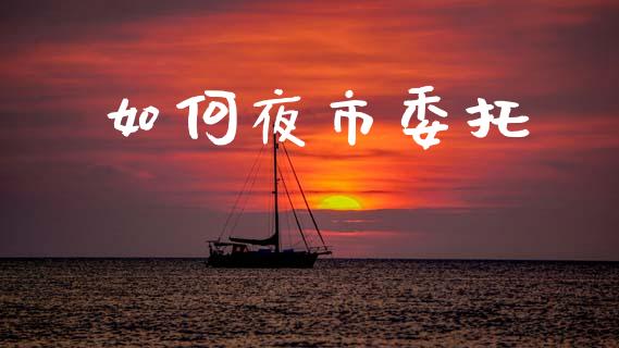 如何夜市委托_https://wap.lcjysmgs.com_金融交易_第1张